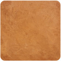11 - Summer Sahara