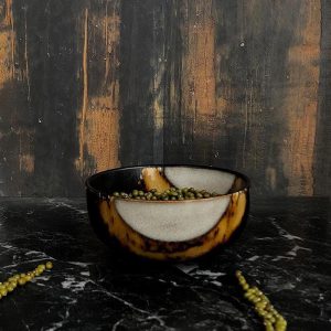 Venetian plaster – decorative tints