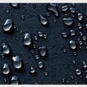 Garden Beds Primer